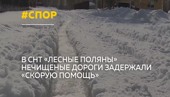 В СНТ Лесные поляны спор о расчистке дорог едва не стоил пенсионерке жизни