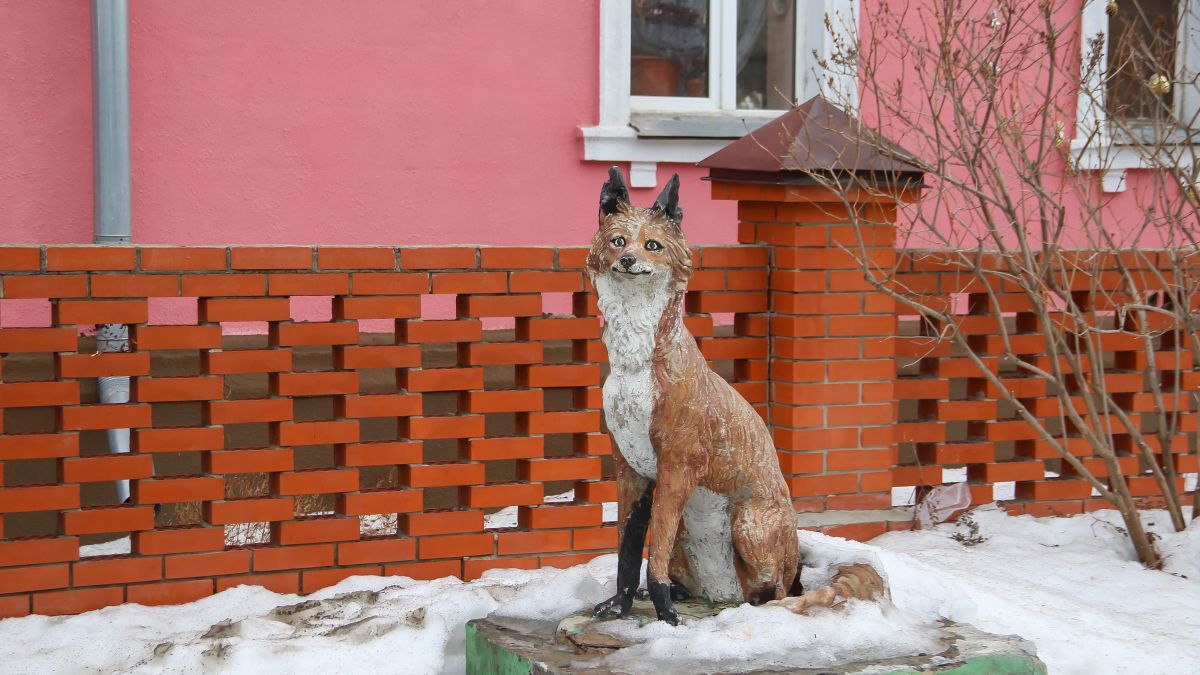 Оттепель в Барнауле