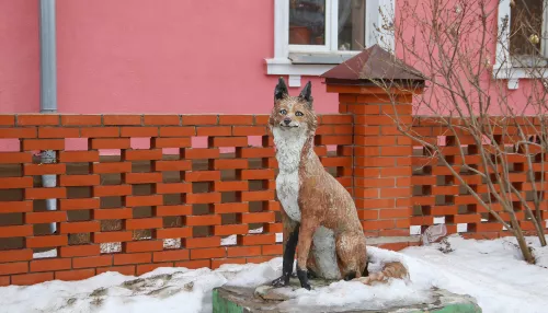 Неделя в плюсе: весеннее потепление вернется в Алтайский край с 17 марта