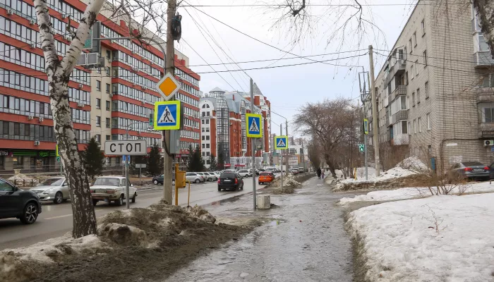 Весеннее тепло пришло в Алтайский край: к выходным воздух прогреется до +11 градусов