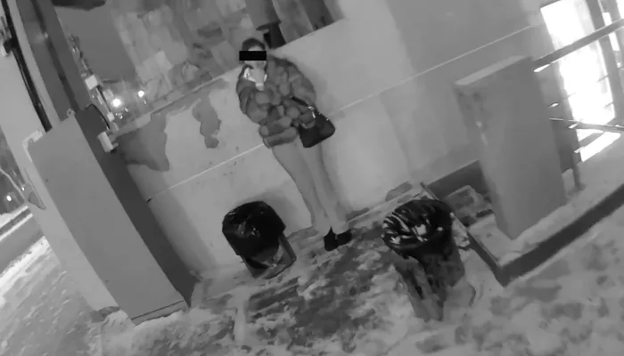 В новосибирском баре девушка укусила посетителя — ее задержала ГБР