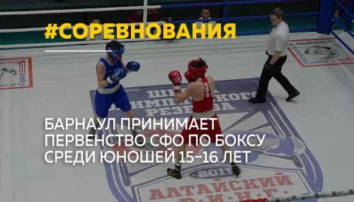 Золотые перчатки Сибири: в Барнауле стартовало первенство СФО по боксу среди юношей