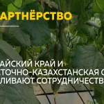 Барнаульские огурцы заинтересовали казахскую делегацию