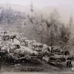 От тропы к федеральной трассе: как выглядел Чуйский тракт в прошлом столетии. Фото