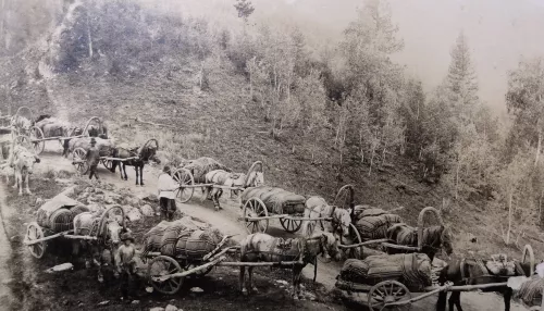 От тропы к федеральной трассе: как выглядел Чуйский тракт в прошлом столетии. Фото