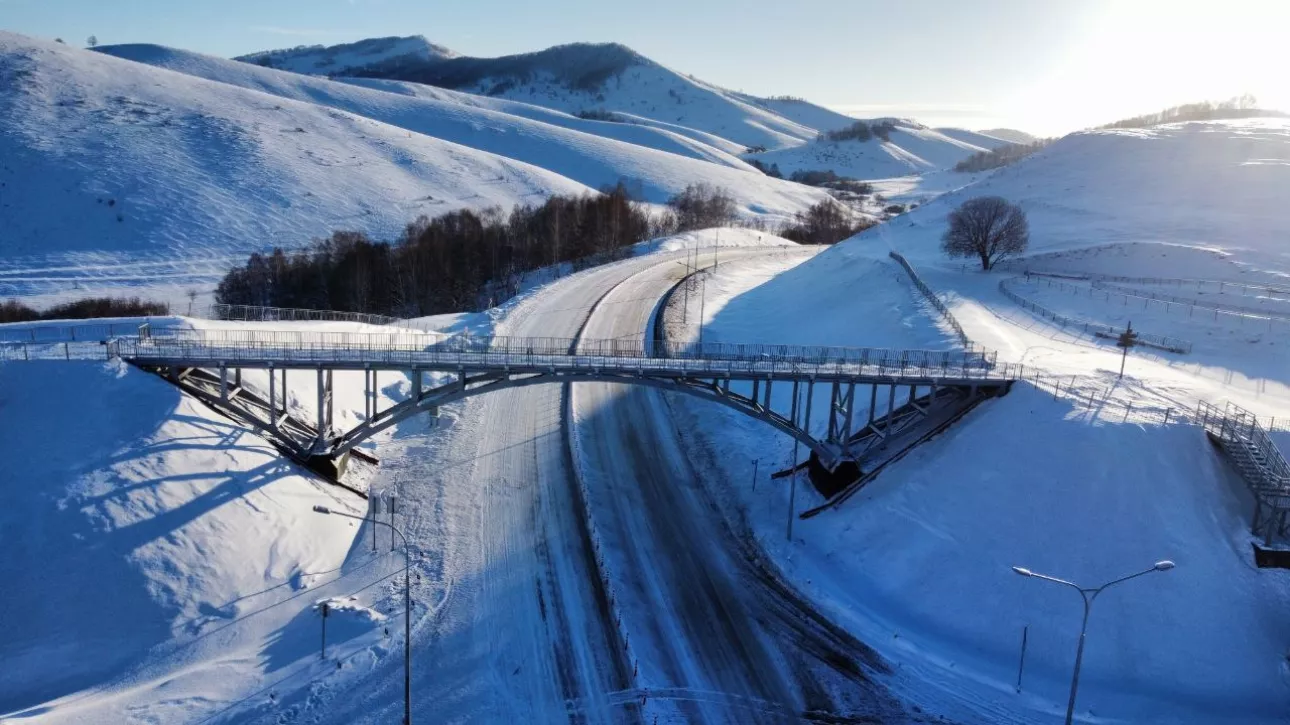 20 тонн для красоты: на Алтае построили уникальный виадук и смотровую площадку. Фото