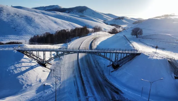 20 тонн для красоты: на Алтае построили уникальный виадук и смотровую площадку. Фото