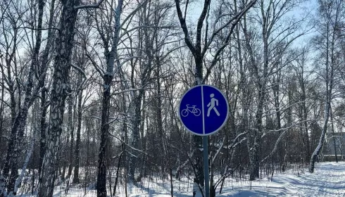 Под снежным одеялом: как выглядит самый большой парк Барнаула за миг до весны. Фото