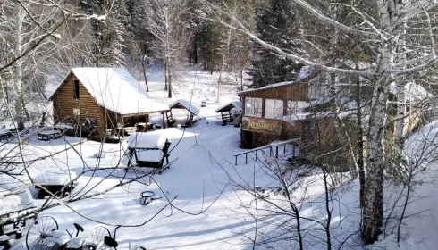 Немножечко промахнулся: жителя Белокурихи обязали снести кафе с беседками
