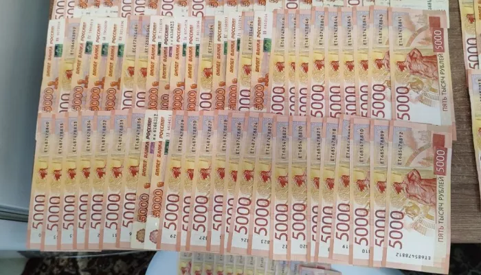 Карманник украл у сибирячки 3 млн рублей, которые она хотела перевести мошенникам