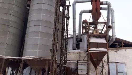 Действующий зерноперерабатывающий комплекс выставили на продажу под Барнаулом