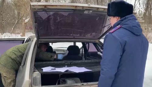 Поисковик раскрыл, как удалось найти похищенную в Смоленске девятилетнюю девочку