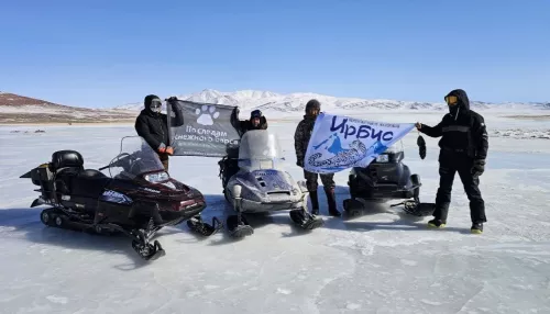 Второй этап учета снежного барса начался в Республике Алтай