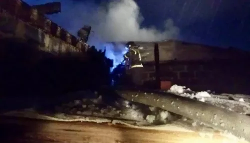 13 кур погибли в результате пожара в Павловском районе