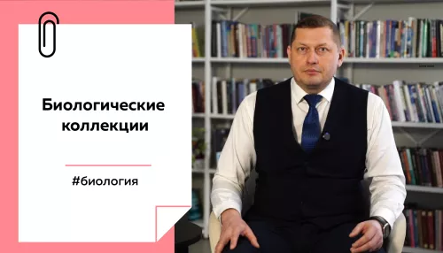 Лекции на Толке. Зачем нужны биоресурные коллекции и что такое Ноев ковчег 2.0