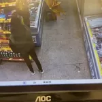 Двое гастролеров из Кемеровской области обокрали восемь магазинов в Алтайском крае