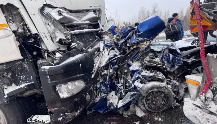 Три жителя Алтайского края погибли в жутком массовом ДТП со снегоуборочной машиной