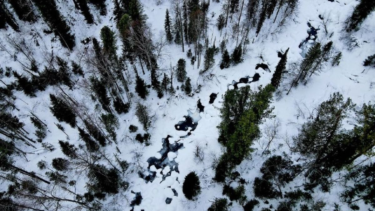 Северная граница Алтайского заповедника с высоты птичьего полета