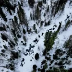 Как выглядит северная граница Алтайского заповедника с высоты птичьего полета. Фото