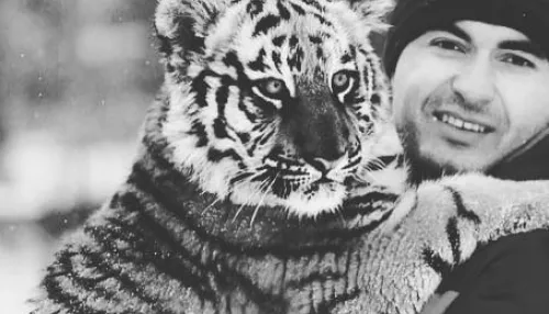 В барнаульском зоопарке умерла 13-летняя тигрица Багира