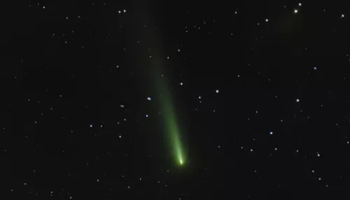 Световое представление: какие кометы пронеслись над Телецким озером в 2025 году