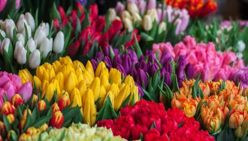 Равноправие как национальный характер: депутаты БГД рассказали о выдающихся женщинах