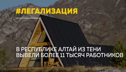 Более 11 тысяч жителей Республики Алтай легализовали свою трудовую деятельность