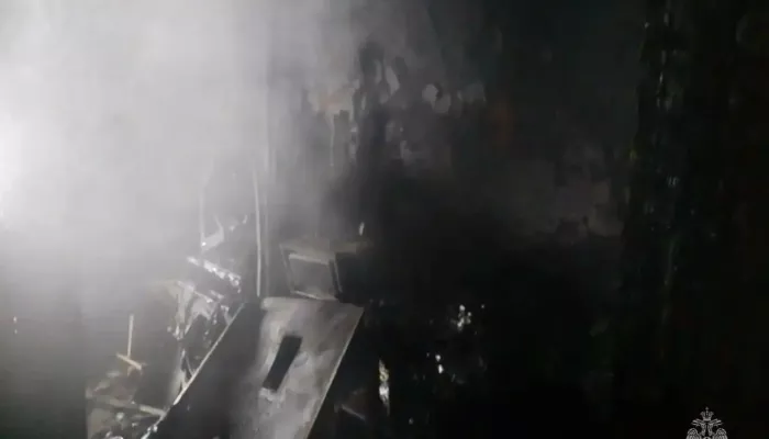 Крупный пожар произошел в доме многодетной семьи в Алтайском крае