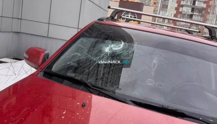 Подарок на 8 Марта: жительнице Барнаула разбили автомобиль, выбросив мусор из кона