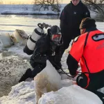 Стало известно, как идут поиски пропавших на Москве-реке детей в Звенигороде