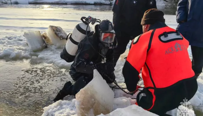 Стало известно, как идут поиски пропавших на Москве-реке детей в Звенигороде