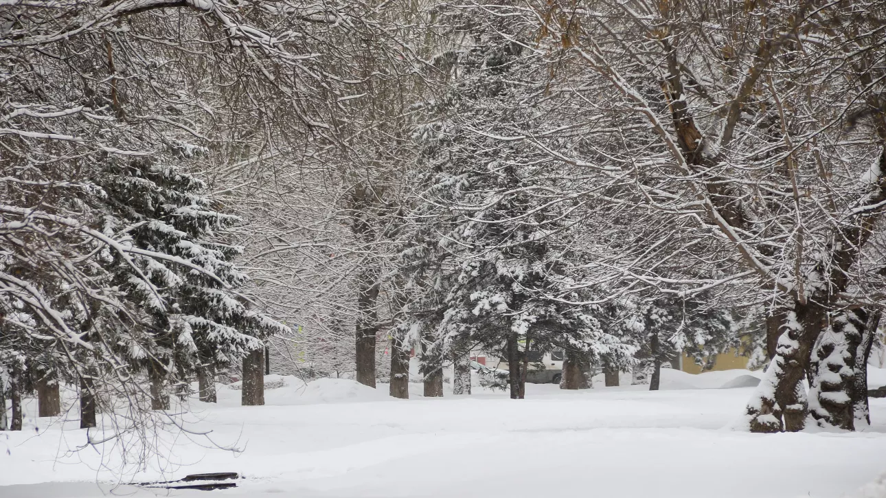 Теплая погода с плюсовыми температурами вернется в Алтайский край уже к выходным