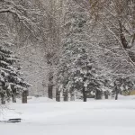 Теплая погода с плюсовыми температурами вернется в Алтайский край уже к выходным