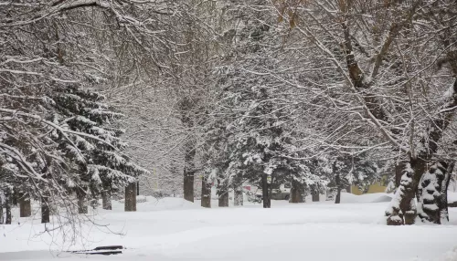 Теплая погода с плюсовыми температурами вернется в Алтайский край уже к выходным
