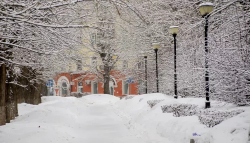 Штормовое предупреждение из-за метелей и похолодания передали в Алтайском крае