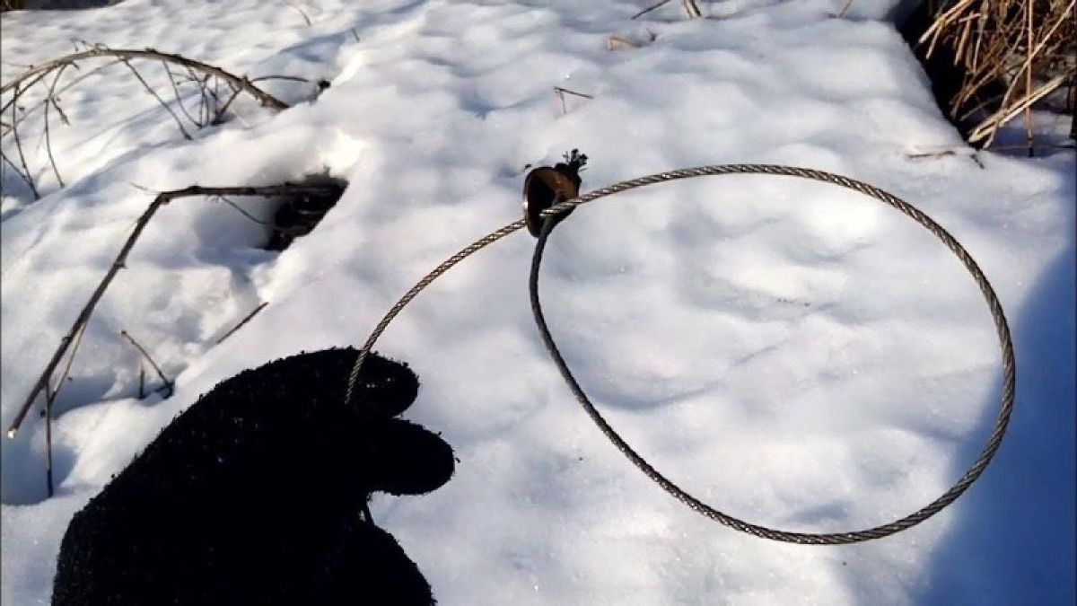 Охотничья петля