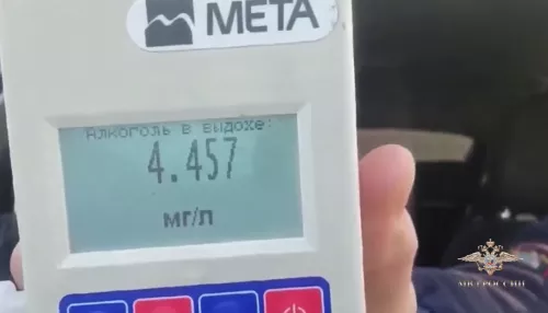 В Иркутске поймали пьяного водителя со смертельной дозой алкоголя в крови