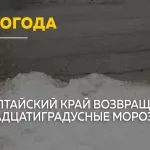Последний привет зимы: синоптик объяснил мартовский мороз в Алтайском крае