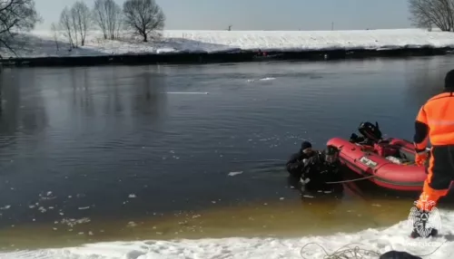 Новые следы и рассказы очевидцев: что известно о пропаже трех детей в Звенигороде