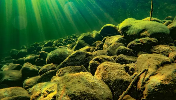 Мартовский покой: как выглядят глубины Телецкого озера весной. Фото