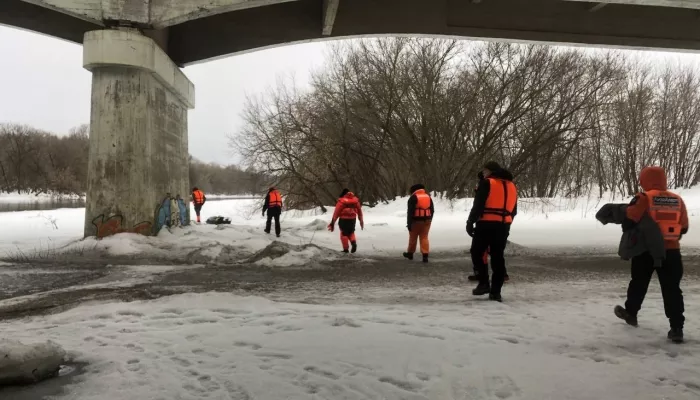 Детей ищут с вертолета: последние новости о масштабной операции в Звенигороде