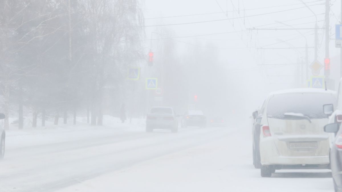 Метель в Барнауле. Март