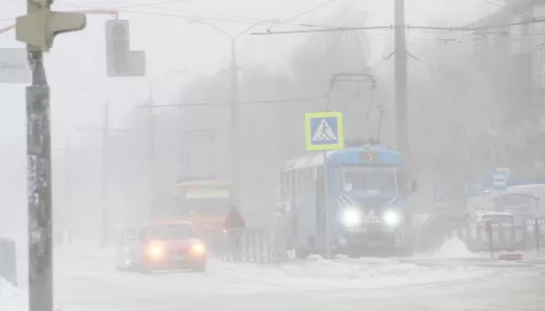 Алтайский край 13 марта остается во власти снежных бурь, но уже идет потепление