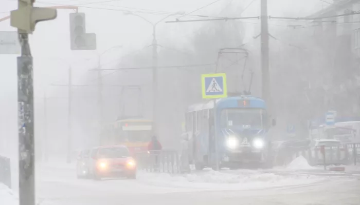 Алтайский край 13 марта остается во власти снежных бурь, но уже идет потепление