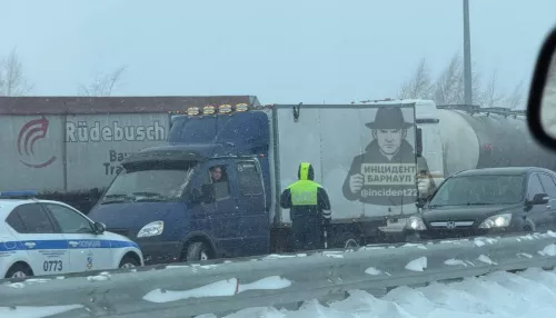 Пробка из фур собралась под Барнаулом на фоне перекрытия трассы. Фото