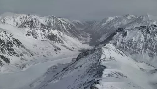 Сотрудники Алтайского заповедника заглянули в гости к снежному барсу. Фото