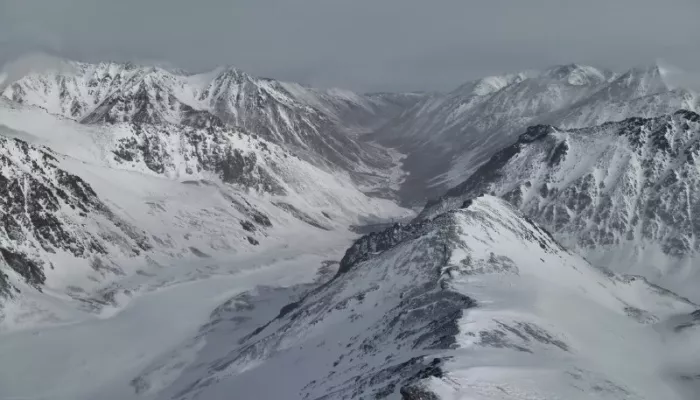 Сотрудники Алтайского заповедника заглянули в гости к снежному барсу. Фото