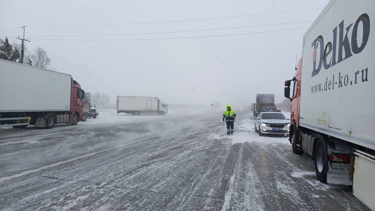 Метель. Перекрытие дороги. Сотрудники ГАИ.