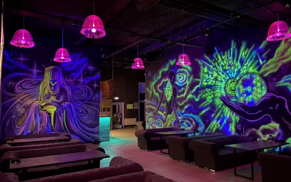 Космический лаунж-бар в новом районе Барнаула продают за 1,7 млн рублей