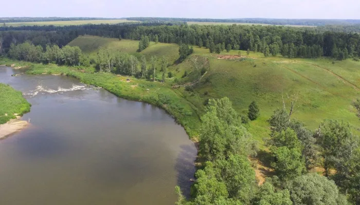 Уникальную бронзовую бляху нашли археологи в Алтайском крае